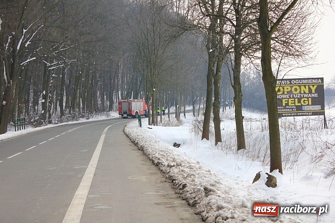 Zdjęcie w galerii na portalu naszraciborz.pl: Poważny wypadek na Brzeskiej w Raciborzu. Kierowca hondy dachował wiadomości z regionu