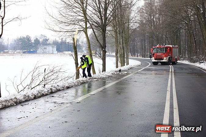 Zdjęcie w galerii na portalu naszraciborz.pl: Poważny wypadek na Brzeskiej w Raciborzu. Kierowca hondy dachował wiadomości z regionu