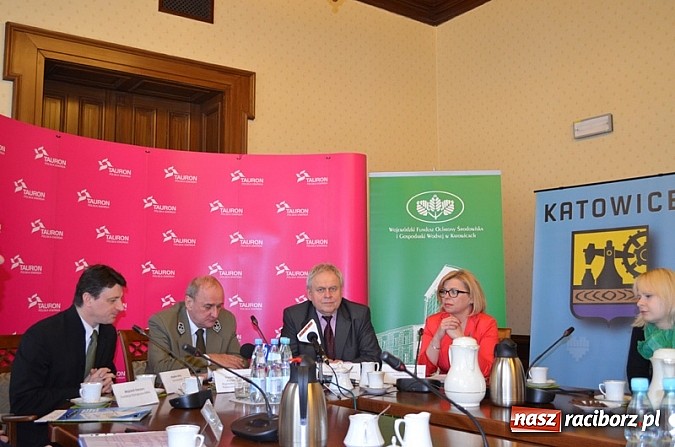 Zdjęcie w galerii na portalu naszraciborz.pl: Znów było zielono na Wyspie Śląsk wiadomości z regionu