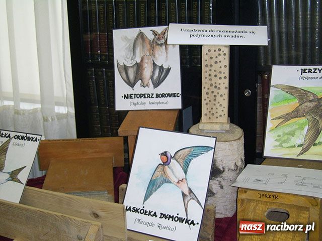 Zdjęcie w galerii na portalu naszraciborz.pl: Ptasie budki Jana Dudy wiadomości z regionu