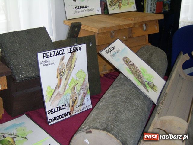 Zdjęcie w galerii na portalu naszraciborz.pl: Ptasie budki Jana Dudy wiadomości z regionu