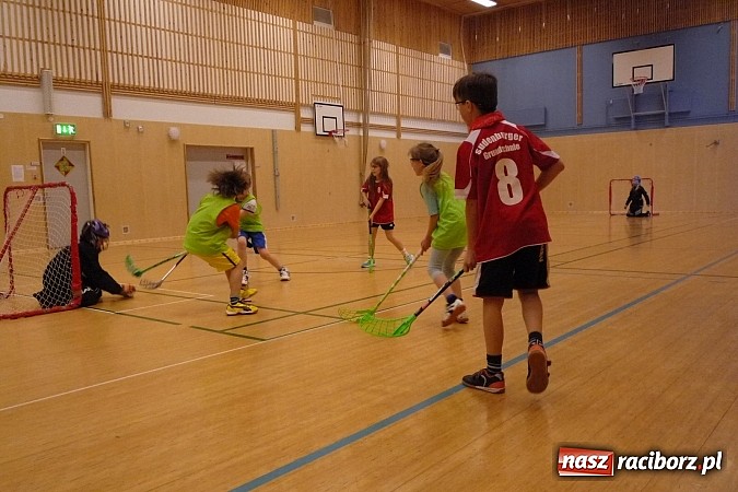 Zdjęcie w galerii na portalu naszraciborz.pl: Z Tworkowa do dalekiej Finlandii wiadomości z regionu
