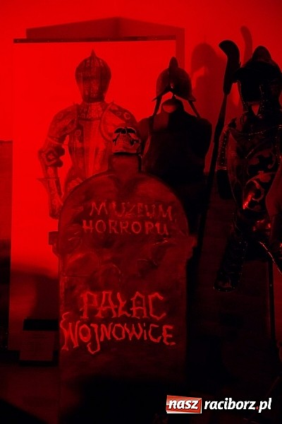 Zdjęcie w galerii na portalu naszraciborz.pl: Na zamku odbyła się noc z horrorem wiadomości z regionu