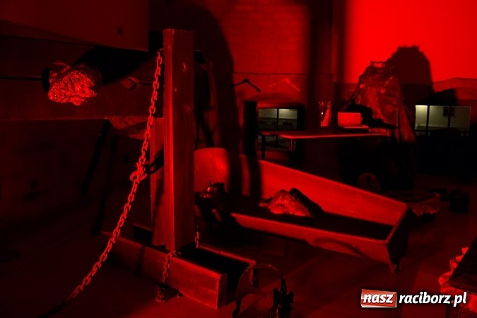 Zdjęcie w galerii na portalu naszraciborz.pl: Na zamku odbyła się noc z horrorem wiadomości z regionu