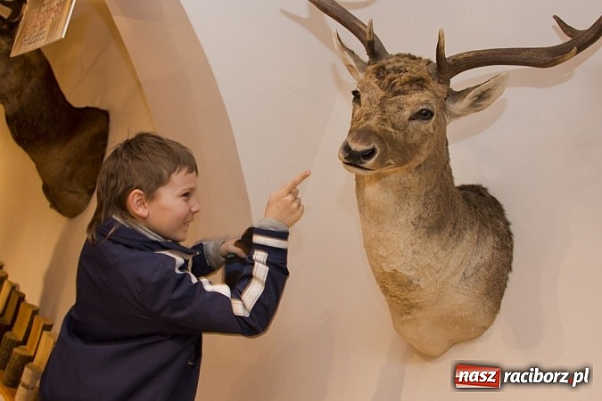 Zdjęcie w galerii na portalu naszraciborz.pl: Na zamku odbyła się noc z horrorem wiadomości z regionu