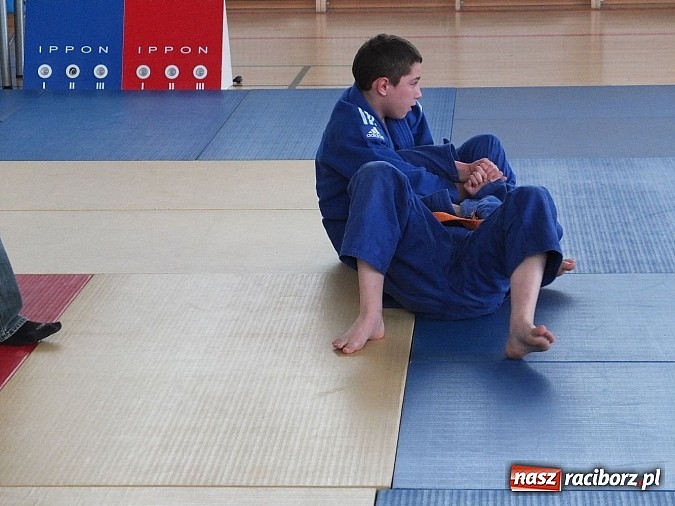 Zdjęcie w galerii na portalu naszraciborz.pl: Dziesięć złotych krążków dla Łamatora wiadomości z regionu