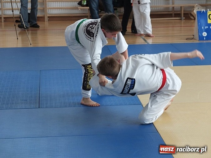 Zdjęcie w galerii na portalu naszraciborz.pl: Dziesięć złotych krążków dla Łamatora wiadomości z regionu