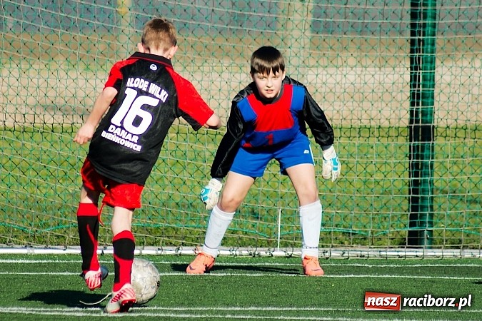 Zdjęcie w galerii na portalu naszraciborz.pl: Młode Wilki z Tworkowa nie dały szans Jedłownikowi wiadomości z regionu