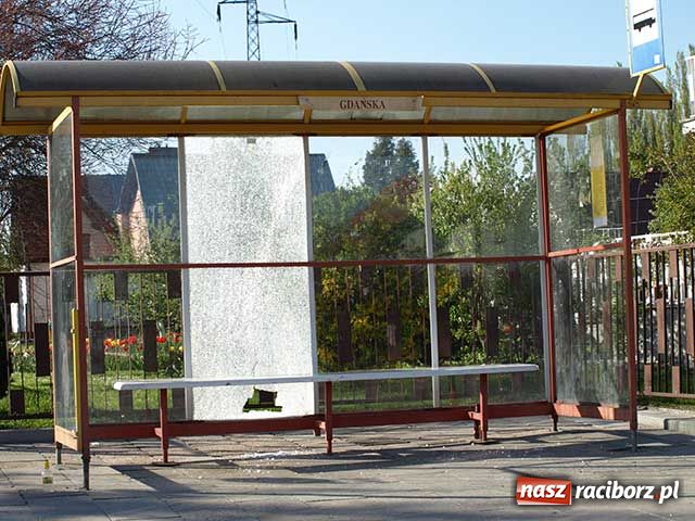 Zdjęcie w galerii na portalu naszraciborz.pl: Tajemnicza grupa wandali wiadomości z regionu