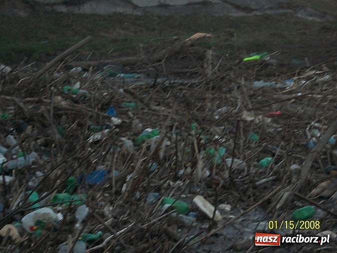Zdjęcie w galerii na portalu naszraciborz.pl: Tak się u nas dba o czystość na Odrze wiadomości z regionu