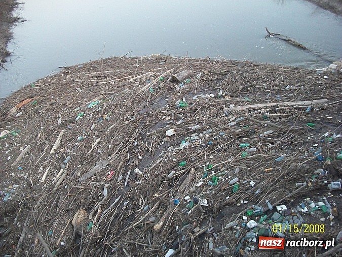 Zdjęcie w galerii na portalu naszraciborz.pl: Tak się u nas dba o czystość na Odrze wiadomości z regionu