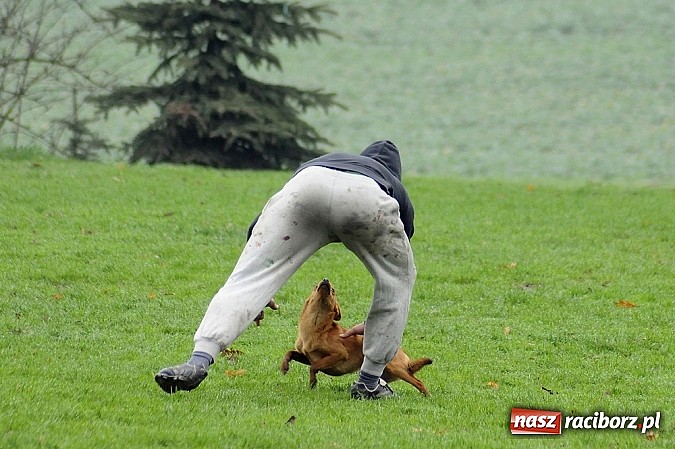 Zdjęcie w galerii na portalu naszraciborz.pl: Gamowianki poległy z Naprzodem wiadomości z regionu