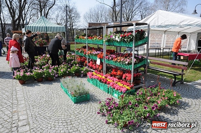 Zdjęcie w galerii na portalu naszraciborz.pl: Ruszył zamkowy jarmark kwiatów i wszelkich różności wiadomości z regionu