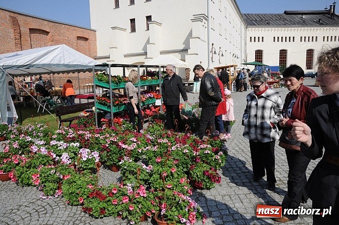 Zdjęcie w galerii na portalu naszraciborz.pl: Ruszył zamkowy jarmark kwiatów i wszelkich różności wiadomości z regionu