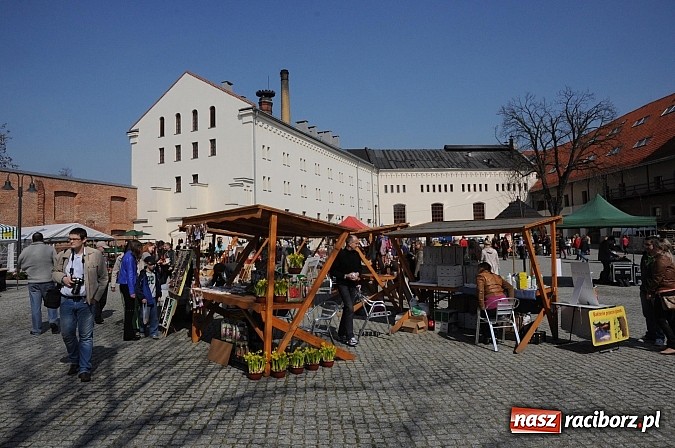 Zdjęcie w galerii na portalu naszraciborz.pl: Ruszył zamkowy jarmark kwiatów i wszelkich różności wiadomości z regionu