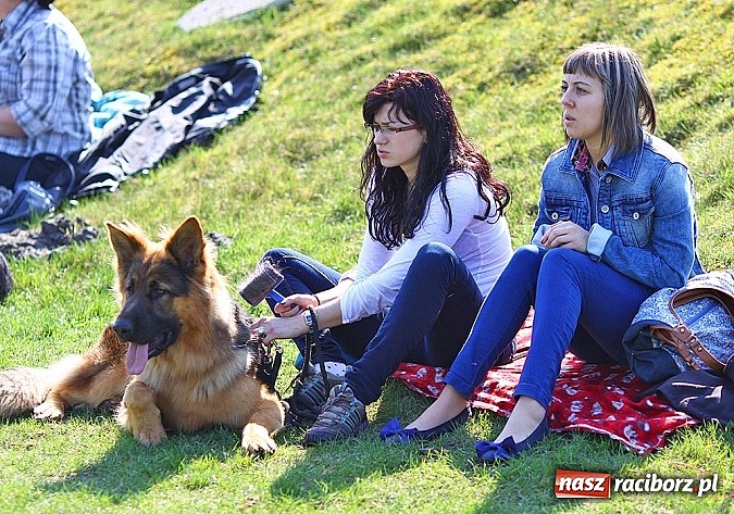 Zdjęcie w galerii na portalu naszraciborz.pl: Psie piękności pokazywano dziś w Kuźni Raciborskiej wiadomości z regionu