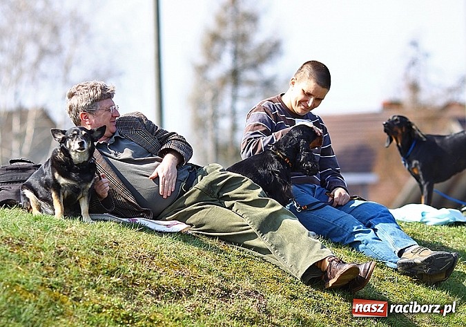 Zdjęcie w galerii na portalu naszraciborz.pl: Psie piękności pokazywano dziś w Kuźni Raciborskiej wiadomości z regionu