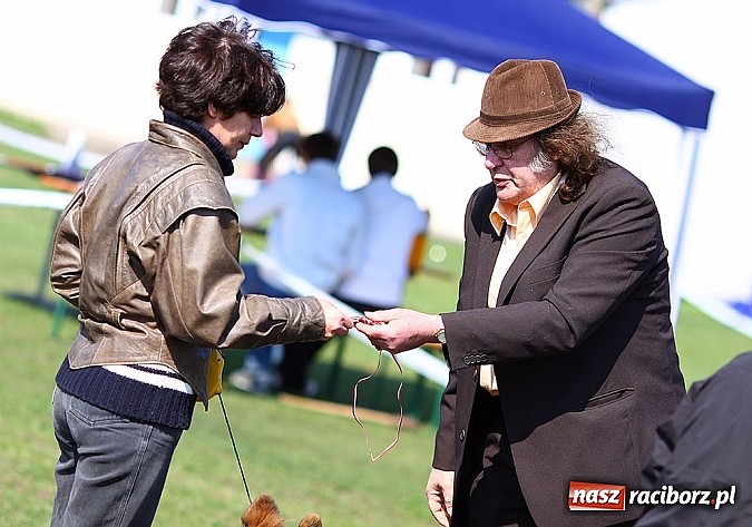 Zdjęcie w galerii na portalu naszraciborz.pl: Psie piękności pokazywano dziś w Kuźni Raciborskiej wiadomości z regionu