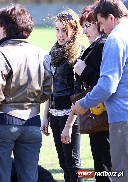 Zdjęcie w galerii na portalu naszraciborz.pl: Psie piękności pokazywano dziś w Kuźni Raciborskiej wiadomości z regionu