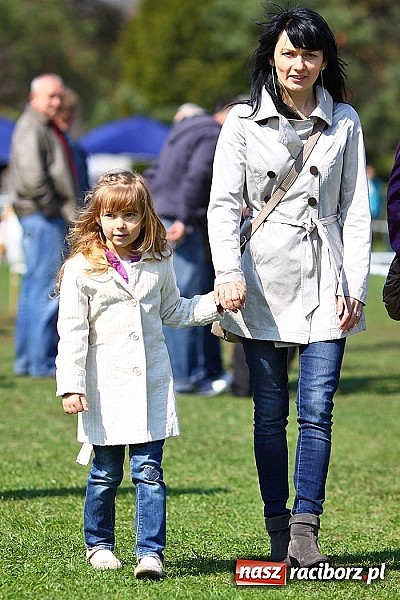 Zdjęcie w galerii na portalu naszraciborz.pl: Psie piękności pokazywano dziś w Kuźni Raciborskiej wiadomości z regionu