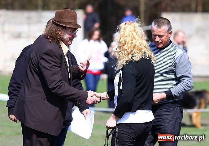 Zdjęcie w galerii na portalu naszraciborz.pl: Psie piękności pokazywano dziś w Kuźni Raciborskiej wiadomości z regionu