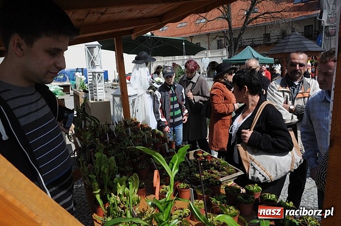 Zdjęcie w galerii na portalu naszraciborz.pl: Tysiące mieszkańców powiatu na zamkowym jarmarku i biesiadzie kabaretowej wiadomości z regionu