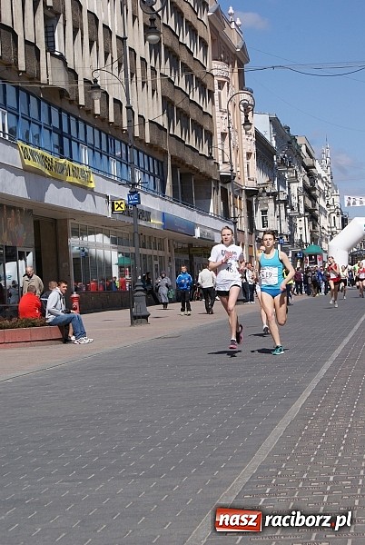 Zdjęcie w galerii na portalu naszraciborz.pl: Sukces raciborzan na Vena Cross Festival 2013 wiadomości z regionu