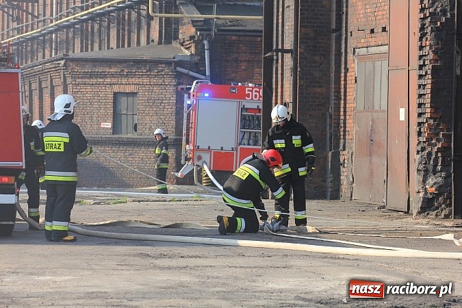 Zdjęcie w galerii na portalu naszraciborz.pl: Manewry 2013 - pożar w SGL Carbon. W akcji kilkadziesiąt zastępów z Polski i Czech wiadomości z regionu