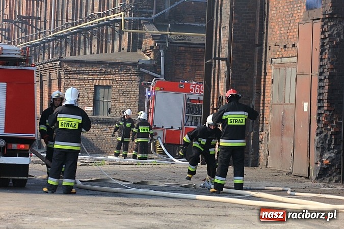 Zdjęcie w galerii na portalu naszraciborz.pl: Manewry 2013 - pożar w SGL Carbon. W akcji kilkadziesiąt zastępów z Polski i Czech wiadomości z regionu
