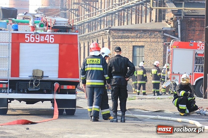 Zdjęcie w galerii na portalu naszraciborz.pl: Manewry 2013 - pożar w SGL Carbon. W akcji kilkadziesiąt zastępów z Polski i Czech wiadomości z regionu