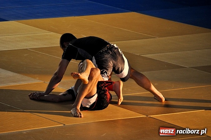 Zdjęcie w galerii na portalu naszraciborz.pl: Raciborzanie na Ju Jitsu Fight Night Rybnik 2013 wiadomości z regionu