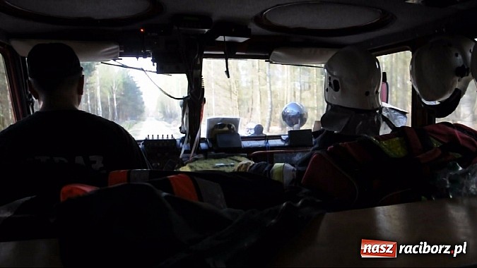 Zdjęcie w galerii na portalu naszraciborz.pl: W ciągu godziny spłonęło siedemnaście hektarów młodego lasu. Winny pociąg! wiadomości z regionu