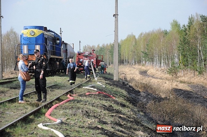 Zdjęcie w galerii na portalu naszraciborz.pl: W ciągu godziny spłonęło siedemnaście hektarów młodego lasu. Winny pociąg! wiadomości z regionu