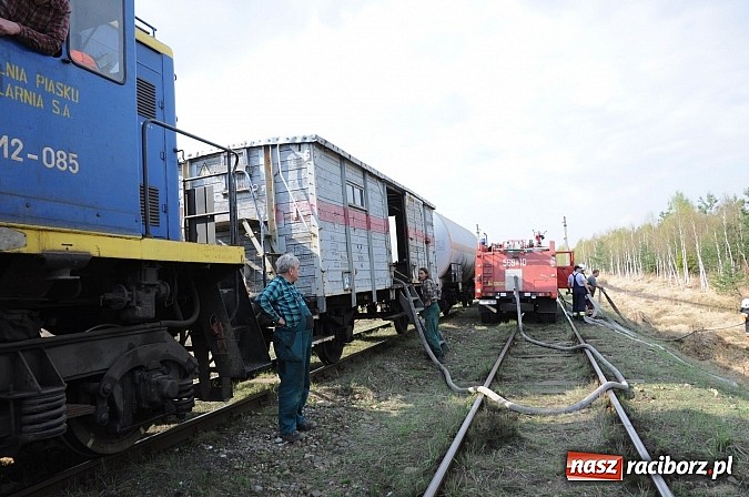 Zdjęcie w galerii na portalu naszraciborz.pl: W ciągu godziny spłonęło siedemnaście hektarów młodego lasu. Winny pociąg! wiadomości z regionu