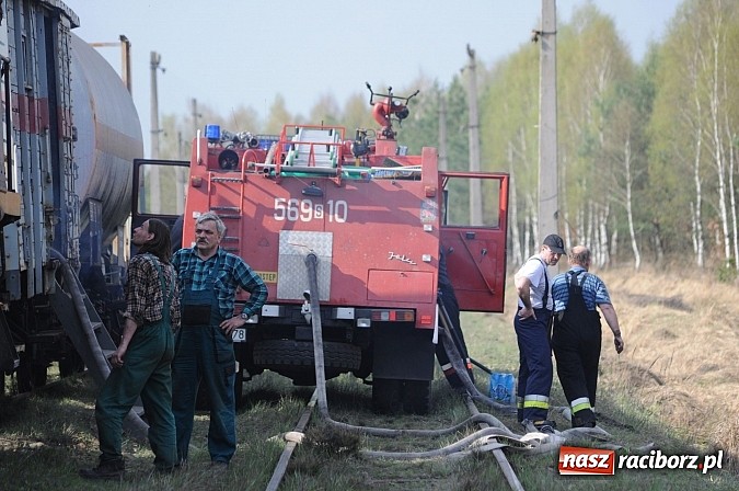 Zdjęcie w galerii na portalu naszraciborz.pl: W ciągu godziny spłonęło siedemnaście hektarów młodego lasu. Winny pociąg! wiadomości z regionu