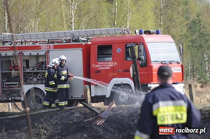 Zdjęcie w galerii na portalu naszraciborz.pl: W ciągu godziny spłonęło siedemnaście hektarów młodego lasu. Winny pociąg! wiadomości z regionu