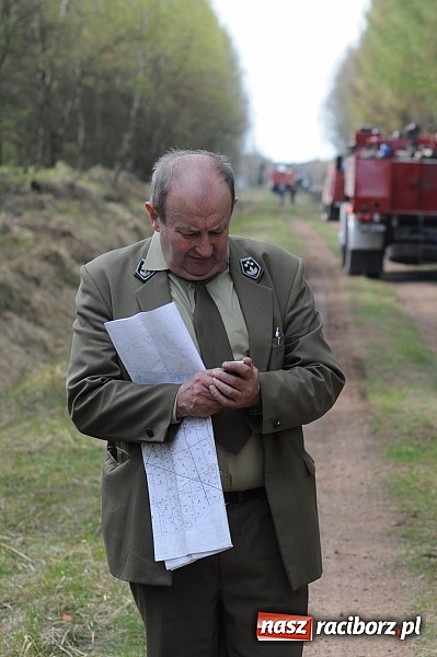 Zdjęcie w galerii na portalu naszraciborz.pl: W ciągu godziny spłonęło siedemnaście hektarów młodego lasu. Winny pociąg! wiadomości z regionu