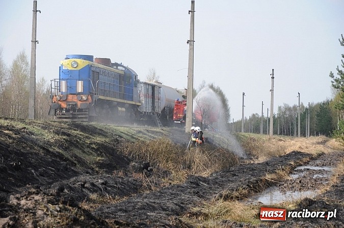 Zdjęcie w galerii na portalu naszraciborz.pl: W ciągu godziny spłonęło siedemnaście hektarów młodego lasu. Winny pociąg! wiadomości z regionu