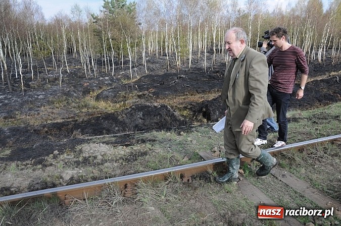 Zdjęcie w galerii na portalu naszraciborz.pl: W ciągu godziny spłonęło siedemnaście hektarów młodego lasu. Winny pociąg! wiadomości z regionu