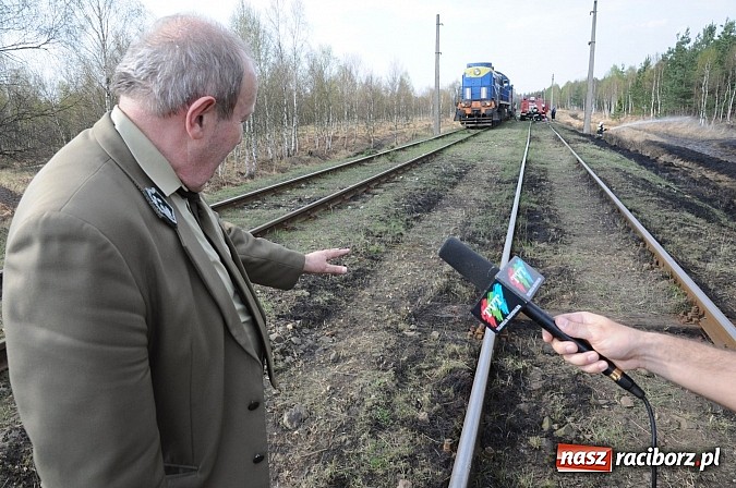 Zdjęcie w galerii na portalu naszraciborz.pl: W ciągu godziny spłonęło siedemnaście hektarów młodego lasu. Winny pociąg! wiadomości z regionu