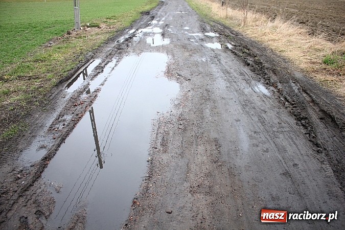 Zdjęcie w galerii na portalu naszraciborz.pl: Batalii o drogę ciąg dalszy. Mieszkańcy ulicy Ogrodowej w Wojnowicach  nie odpuszczają wiadomości z regionu