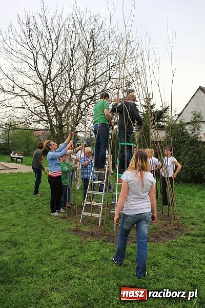 Zdjęcie w galerii na portalu naszraciborz.pl: Przy przedszkolu w Łęgu stanął wiklinowy szałas wiadomości z regionu