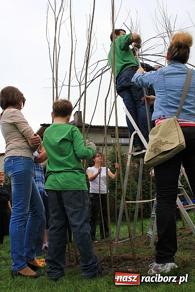 Zdjęcie w galerii na portalu naszraciborz.pl: Przy przedszkolu w Łęgu stanął wiklinowy szałas wiadomości z regionu