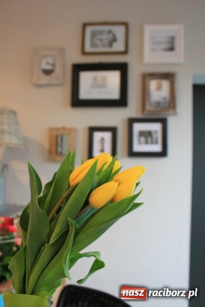 Zdjęcie w galerii na portalu naszraciborz.pl: Villa Antiqua zaprasza na dni otwarte wiadomości z regionu