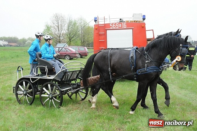 Zdjęcie w galerii na portalu naszraciborz.pl: W Nędzy odbyły się I Amatorskie Zawody Zaprzęgowe wiadomości z regionu