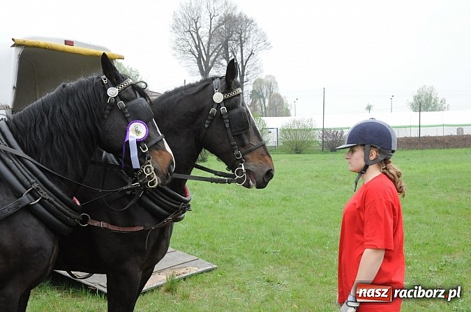 Zdjęcie w galerii na portalu naszraciborz.pl: W Nędzy odbyły się I Amatorskie Zawody Zaprzęgowe wiadomości z regionu
