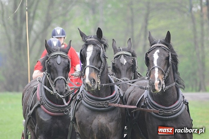 Zdjęcie w galerii na portalu naszraciborz.pl: W Nędzy odbyły się I Amatorskie Zawody Zaprzęgowe wiadomości z regionu