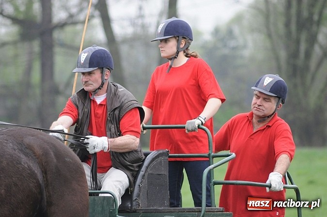 Zdjęcie w galerii na portalu naszraciborz.pl: W Nędzy odbyły się I Amatorskie Zawody Zaprzęgowe wiadomości z regionu