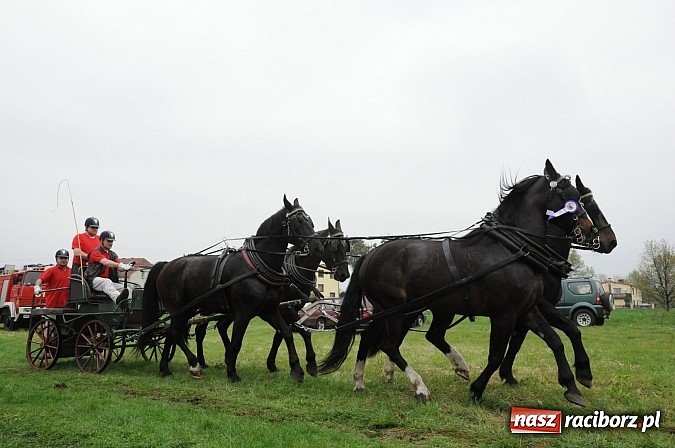 Zdjęcie w galerii na portalu naszraciborz.pl: W Nędzy odbyły się I Amatorskie Zawody Zaprzęgowe wiadomości z regionu