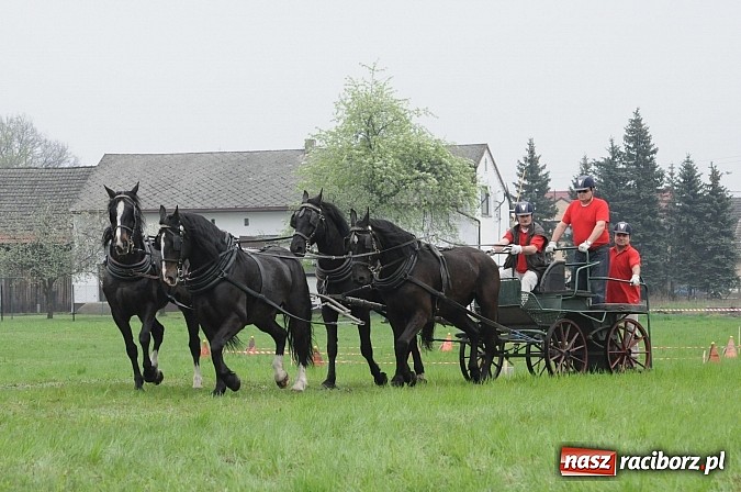 Zdjęcie w galerii na portalu naszraciborz.pl: W Nędzy odbyły się I Amatorskie Zawody Zaprzęgowe wiadomości z regionu